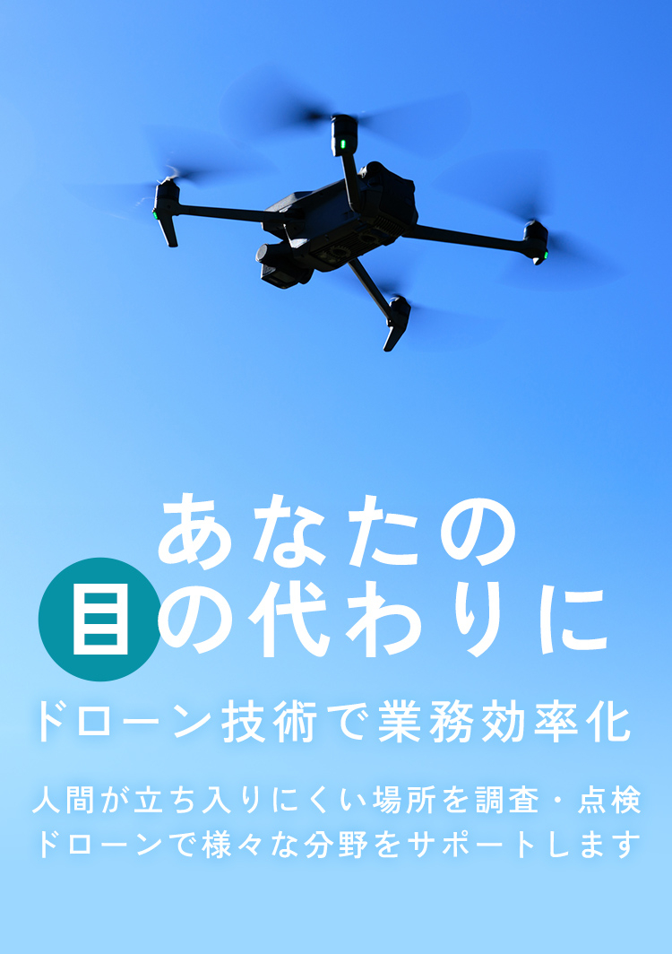 あなたの目の代わりに